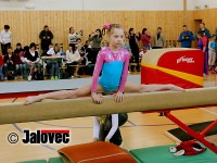 V Meziříčí závodilo 71 nadějných gymnastek