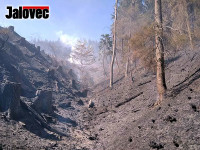Prženský les lehl popelem. 13 jednotek hasičů v akci